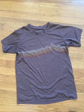 Patagonia Brown Tee with Muted Multi-Color Wave Graphic
